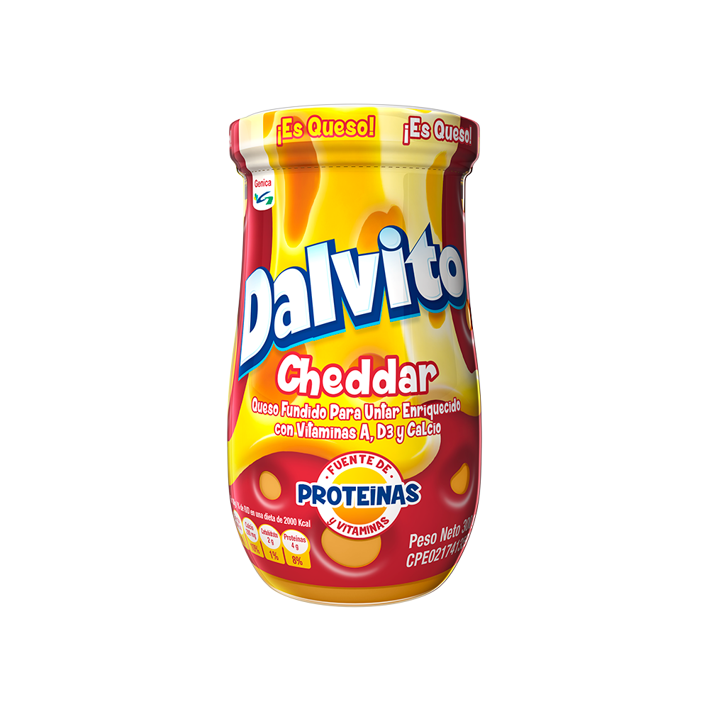 Queso Fundido Dalvito 300 gr.