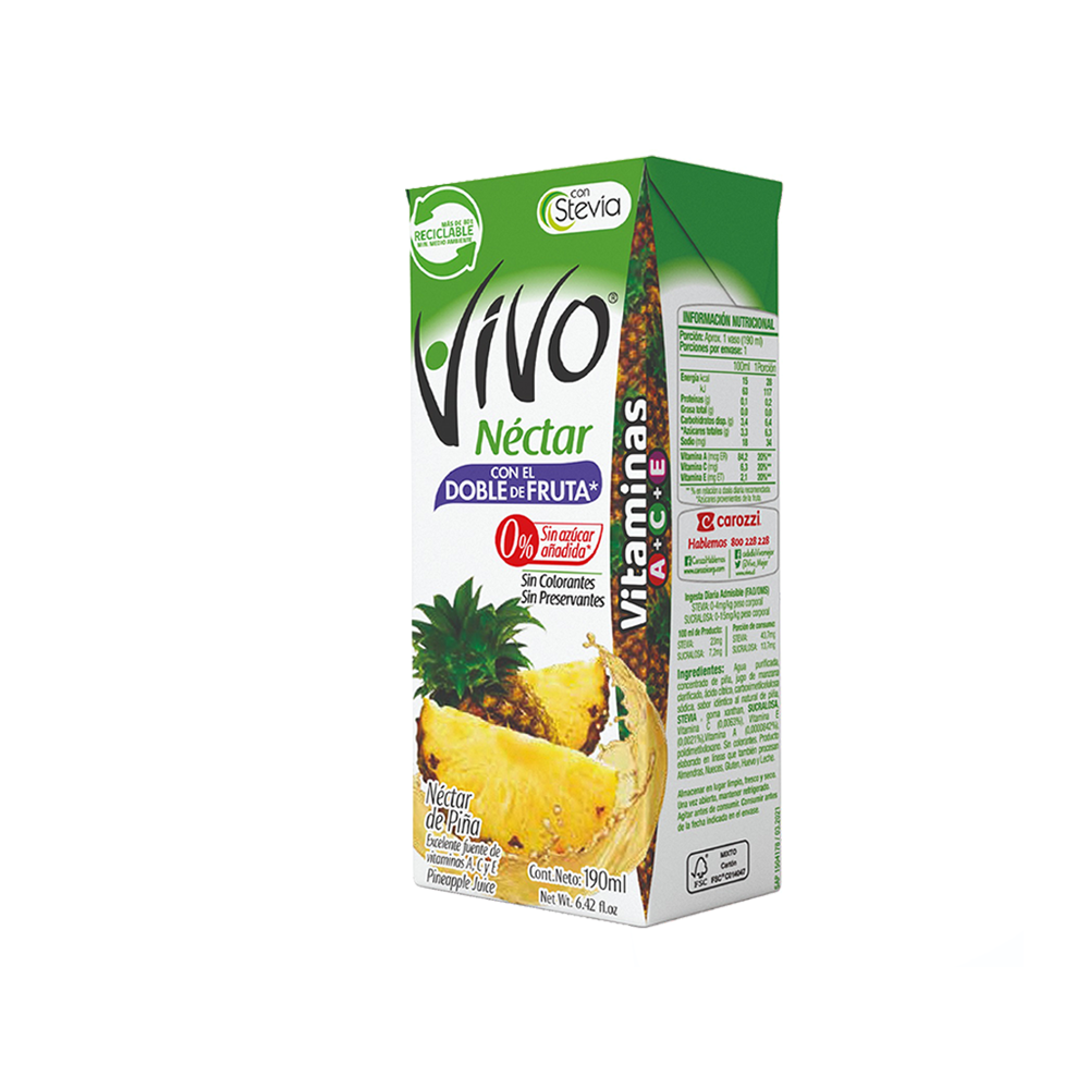 Nectar de Piña Vivo 190 ml